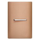 Ver imagem 1 de Conjunto Interruptor Simples Horizontal com Suporte 4x2 - Dicompel Novara Ouro Rose Cromado