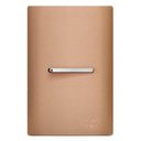 Ver imagem 1 de Conjunto Interruptor Paralelo Horizontal com Suporte 4x2 - Dicompel Novara Ouro Rose Cromado