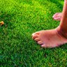 Grama Sintética 22mm identica a natural (13m²) 2,00m x 6,50cm Eurograss - 3