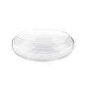 Ver imagem 1 de Vaso Mini Terrário de Vidro para Suculentas 9x15x18cm