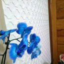 Ver imagem 2 de 40 Placas Revestimento 3D PREMIUM para Parede (10m²) Premierdecor - MARRAKESH