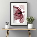 Ver imagem 1 de Quadro Moderno Flor Bordô - 60x48cm:moldura Branca