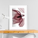 Ver imagem 2 de Quadro Moderno Flor Bordô - 60x48cm:moldura Branca