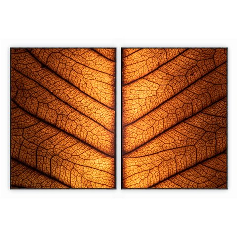 kit com 2 Quadros Decorativos Florais com Moldura e Vidro para Sala Quarto Escritório e Clínica 62x8