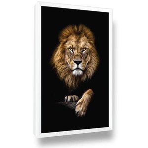 Quadro Leão Preto Animal com Moldura Sala Escritório
