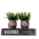 Ver imagem 1 de Kit Decoração 3 Peças Livro Porta Objetos e Dupla Vaso Rosê