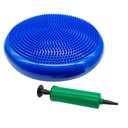 Ver imagem 2 de Disco de Equilíbrio 33cm Yoga Pilates Fisioterapia com Bomba Inflável