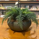 Ver imagem 1 de Arranjo Completo de Samambaia Centro de Mesa Grande Vaso Verde Decore Fácil Shop