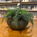 Ver imagem 3 de Arranjo Completo de Samambaia Centro de Mesa Grande Vaso Verde Decore Fácil Shop