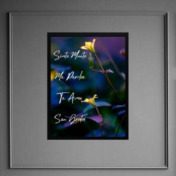 Quadro Ho'oponopono - Mantra Mágico 24x18cm:madeira Preta - 2