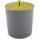 Ver imagem 1 de Lixeira 5 Litros Tampa de Pegar Dourada Banheiro Cozinha - Cinza