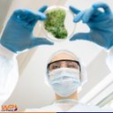 Ver mais imagens de Óculos de Proteção Incolor Para Mecânicos Eletricistas 50 Peças