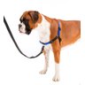 Peitoral Ferplast Coach para Adestramento de Cães - M-G - Azul - 3