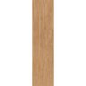 Porcelanato 24.5X100 Ecofloor Carvalho Acet 24054 Cx 2,20M² - 1