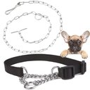 Ver imagem 1 de Coleira Guia Corrente Cachorro Cao Pet Kit Passeio Corrente Aço Zincado Semi Enforcadora Ajustavel R