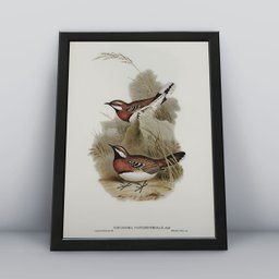 Conjunto 3 Quadros Passarinhos Animais Molduras 30x40cm - 1
