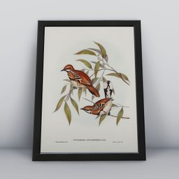 Conjunto 3 Quadros Passarinhos Animais Molduras 30x40cm - 2