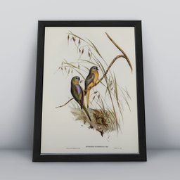 Conjunto 3 Quadros Passarinhos Animais Molduras 30x40cm - 3
