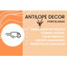 Kit Higiene Bebê Safari 5 Peças - Bandeja, Potes, Porta Álcool e Molhadeira - Tudo Porcelana - 11