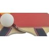 Raquete Ping Pong Tenis Mesa Cabo Anatômico Madeira Borracha - 5