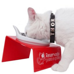 Comedouro de Porcelana Elevado Gato Catmypet Snack Cat 200ml - 2