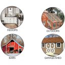 Ver imagem 4 de Armadilha Captura Rato Ratoeira Reutilizavel