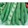 Sementes De Fava Água Doce Pcte Com 1 Kg - 2