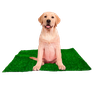 Tapete Grama Higiênico Para Cães Sanitário Pet Premium dog - 6