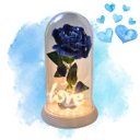 Ver imagem 5 de Luminária Love a Rosa Encantada Azul 28 Cm Presente de Natal Presente para Namorada Amor Lindo Bouti