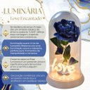 Ver imagem 2 de Luminária Love a Rosa Encantada Azul 28 Cm Presente de Natal Presente para Namorada Amor Lindo Bouti