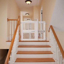 Grade De Segurança Bound Dual-Mode Indicador - Safety 1 St - 5