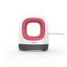 Prensa Térmica Cricut Easypress Mini Framboesa 200747 Vermelho 220v - 1