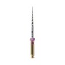 Ver imagem 1 de Lima Rot Protaper S1 25Mm Roxa 6 Un - Dentsply