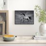 Quadro Decorativo Fotografia Cavalo Preto e Branco - 2