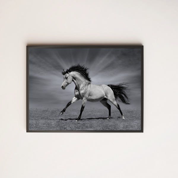 Quadro Decorativo Fotografia Cavalo Preto e Branco - 1