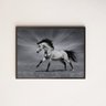 Quadro Decorativo Fotografia Cavalo Preto e Branco - 1