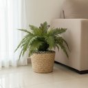 Ver imagem 3 de Kit 2 Galhos Samambaia Artificial Realista Folhagem Verde Decorativa