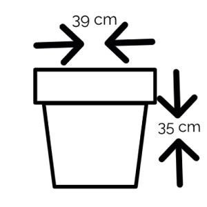 Vaso Estilo Monte Carlo nº0 - Chumbo - 2
