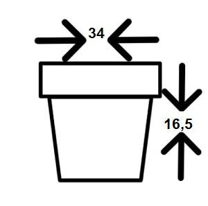 Vaso Tacho Jateado nº0 - Ferrugem - 2