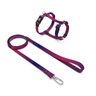 KIT GUIA + PEITORAL MODELO H PARA CÃES - TAMANHO M - 1