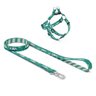 KIT GUIA + PEITORAL MODELO 8 PARA CÃES - TAMANHO M - 1