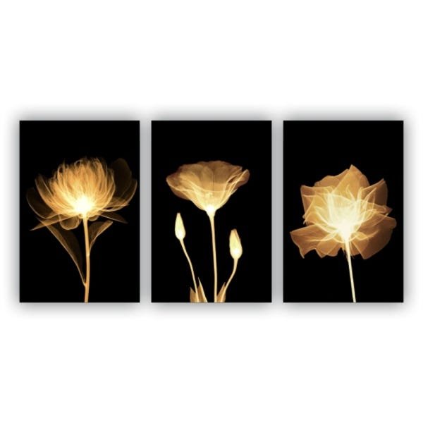 Kit Placas Quadros Decorativos 3 Pçs 60x40 Floral Flores Amarelas - 1