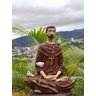 Imagem estátua São Franscisco de Assis meditando flor de lótus - Marrom - 5