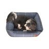 Cama Para Cachorro Mabuu Pet Azul Com Linhas Tam G - 4