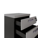 Ver mais imagens de Gaveteiro Organizador 2 Gavetas e Espaço P/ Pastas F5 Office