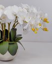 Ver imagem 3 de Arranjo Centro Mesa 8 Flores de Orquídeas Brancas no Vaso