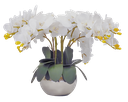 Ver imagem 5 de Arranjo Centro Mesa 8 Flores de Orquídeas Brancas no Vaso