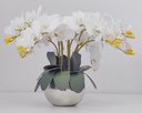 Ver imagem 2 de Arranjo Centro Mesa 8 Flores de Orquídeas Brancas no Vaso