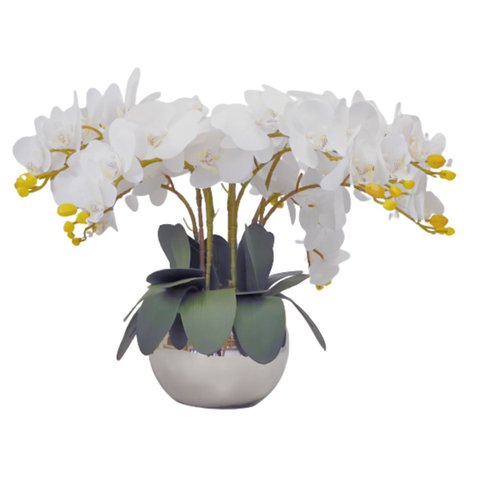 Arranjo Centro Mesa 8 Flores de Orquídeas Brancas no Vaso