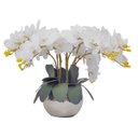 Ver imagem 1 de Arranjo Centro Mesa 8 Flores de Orquídeas Brancas no Vaso
